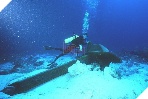 Cáp quang biển APG đã khôi phục 95% dung lượng Internet đi quốc tế