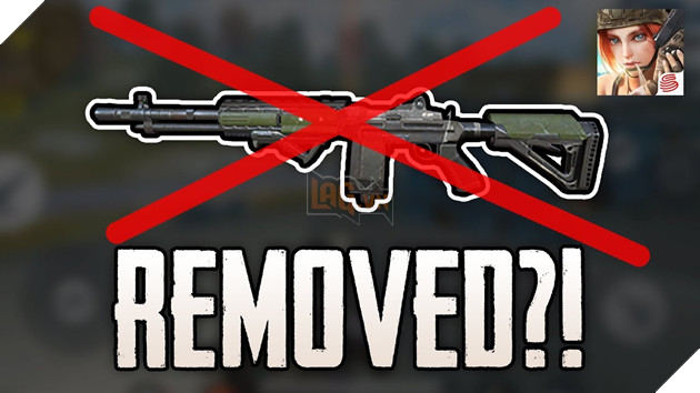 Image result for M14ebr rules of survival