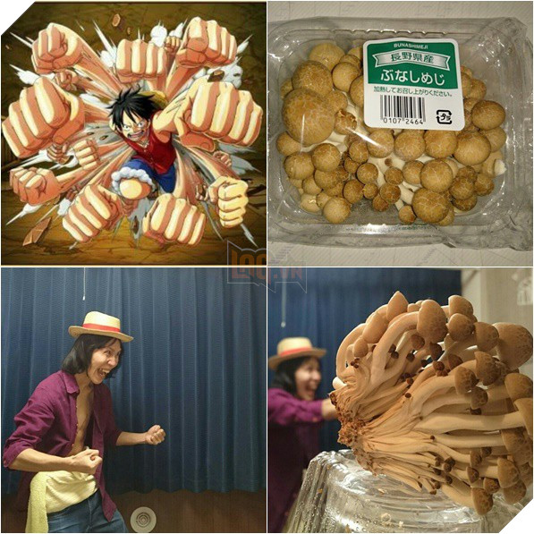 Cười sái quai hàm với màn cosplay hại não của thánh lầy Nhật Bản - Ảnh 5.