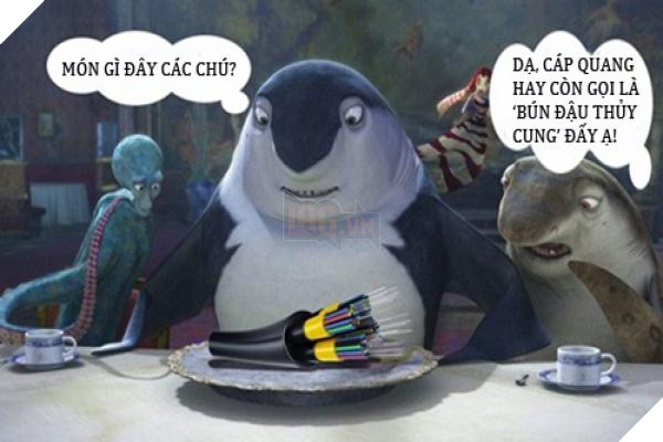 Mùa Đứt Cáp đã trở lại với tuyến cáp APG, mạng Internet Việt Nam tiếp tục rùa bò