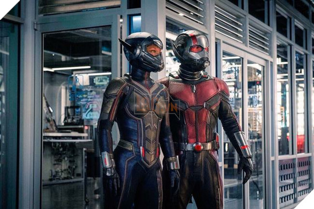 The Wasp không đơn thuần chỉ là nhân vật hỗ trợ cho Ant-Man