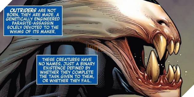 Các chi tiết ẩn góp mặt trong Avengers: Infinity War Phần cuối  5