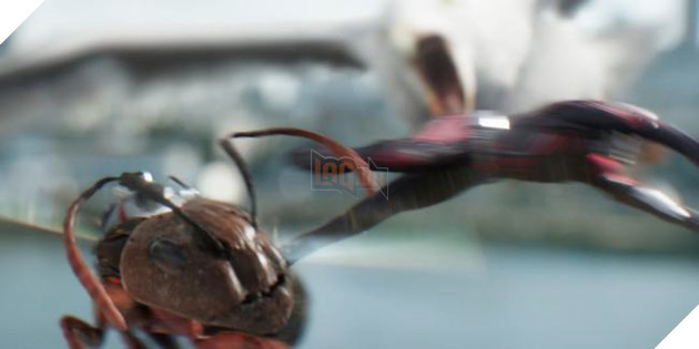 Cùng soi các chi tiết trong trailer mới của Ant-Man and The Wasp Phần cuối 