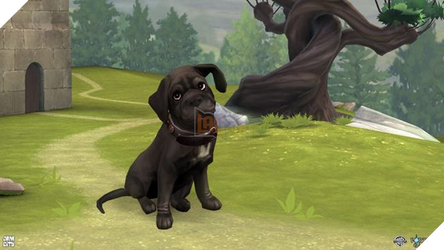 Harry Potter: Hogwarts Mystery sẽ bổ sung thêm nhiều tính năng thú vị 5