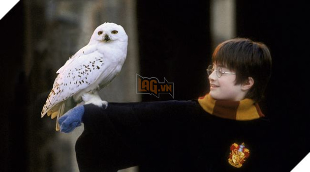 Harry Potter: Hogwarts Mystery sẽ bổ sung thêm nhiều tính năng thú vị 4