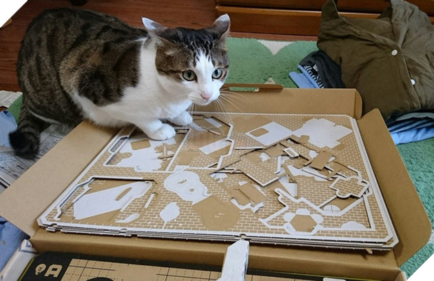 Khi boss Mèo cũng thích Nintendo Labo, các Sen chuẩn bị "khóc" với ví tiền đi