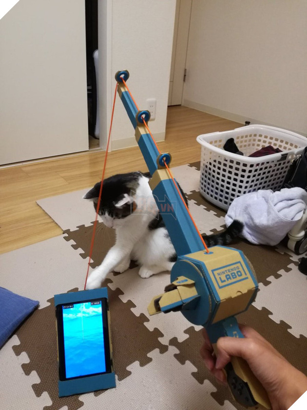 
Câu mèo chưa bao giờ dễ đến thế.
