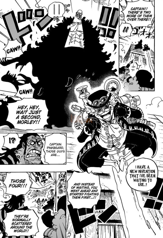 Image result for one piece 904