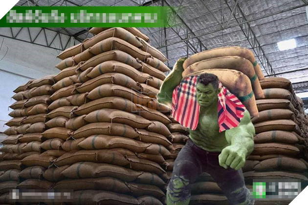 
Gã khổng lồ xanh vạm vỡ khỏe mạnh Hulk rất hợp với việc đi làm cửu vạn.
