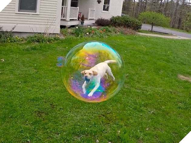 12 bức ảnh được cư dân mạng chia sẻ rần rần vì trùng hợp đến không tưởng - Ảnh 1.