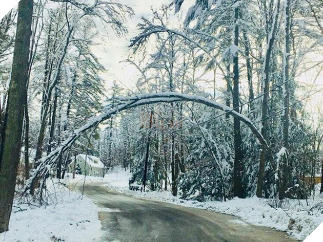 12 bức ảnh được cư dân mạng chia sẻ rần rần vì trùng hợp đến không tưởng - Ảnh 11.