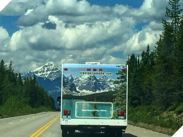 12 bức ảnh được cư dân mạng chia sẻ rần rần vì trùng hợp đến không tưởng - Ảnh 3.