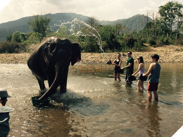 12 bức ảnh được cư dân mạng chia sẻ rần rần vì trùng hợp đến không tưởng - Ảnh 5.