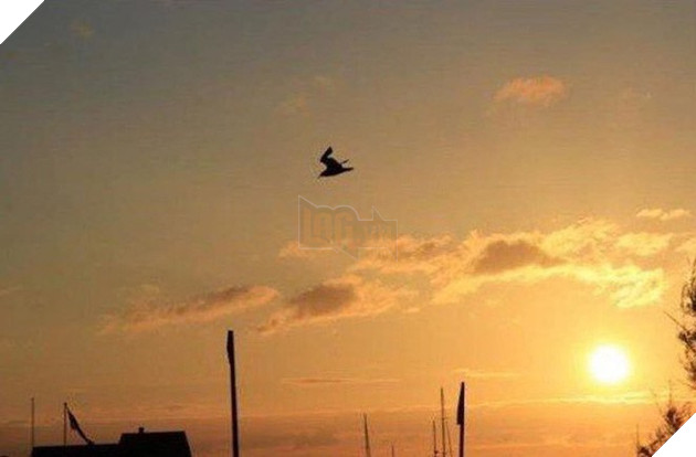 12 bức ảnh được cư dân mạng chia sẻ rần rần vì trùng hợp đến không tưởng - Ảnh 8.