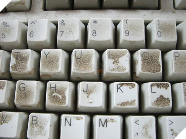 [Đời sống game thủ] Hãy cẩn thận với bàn phím máy tính, đây là ổ bệnh cực kỳ nguy hiểm 