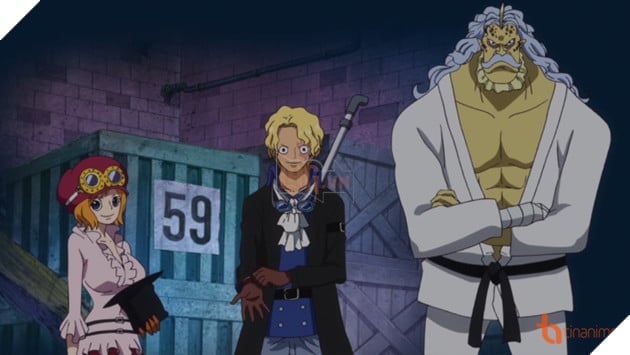 Image result for quÃ¢n Äá»i cÃ¡ch máº¡ng one piece