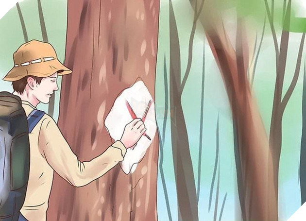 Tổng hợp 10 kỹ năng sinh tồn mà bạn cần biết để có thể sống sót trong cung đường Tà Năng - Phan Dũng 6