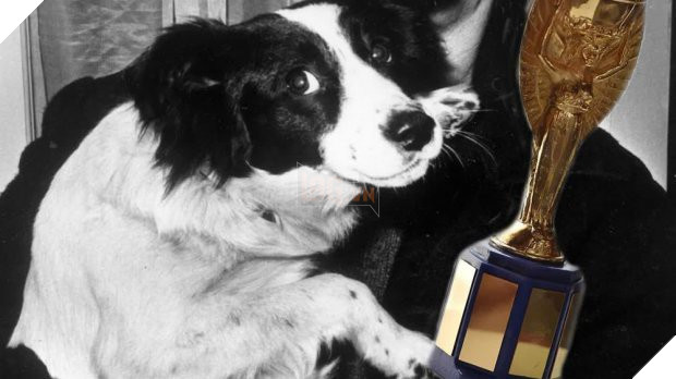 Số phận của “Jules Rimet” cho đến bây giờ vẫn là bí ẩn lớn nhất của Thế Giới