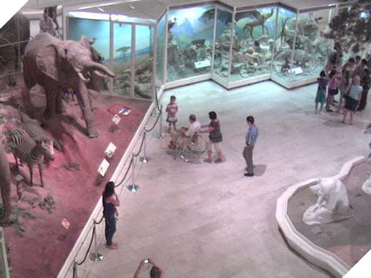 Tổng hợp 40 địa điểm vừa du lịch vừa theo dõi World Cup 2018 không sót 1 trận nào cực tiện lợi cho các Fan bóng đá 20