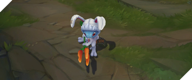 Káº¿t quáº£ hÃ¬nh áº£nh cho fizz