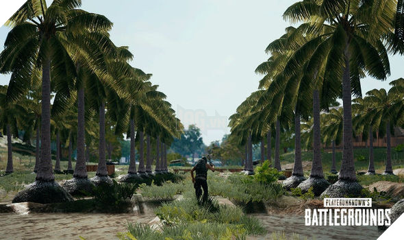 PUBG: 5 mẹo cực hay trên bản đồ Sanhok của streamer Hayz 5