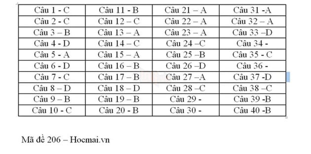 Gợi ý đáp án 24 mã đề thi môn Vật lý kỳ thi THPT Quốc gia 2018 - Ảnh 2.