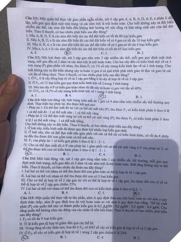 Gợi ý đáp án môn Sinh học tất cả mã đề thi THPT Quốc gia 2018 - Ảnh 4.