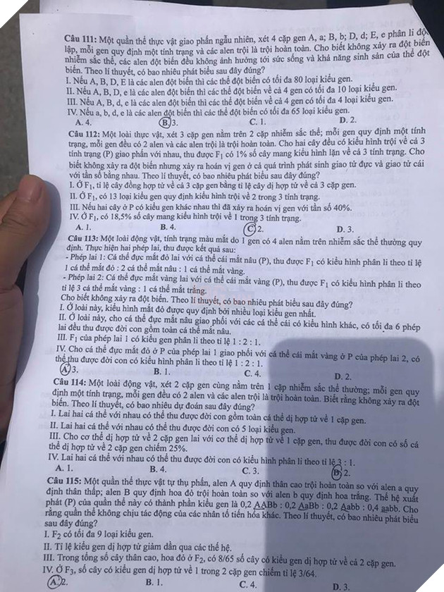 Gợi ý đáp án môn Sinh học tất cả mã đề thi THPT Quốc gia 2018 - Ảnh 5.