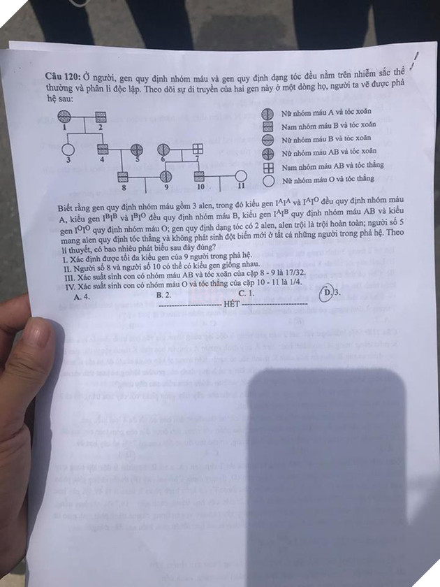 Gợi ý đáp án môn Sinh học tất cả mã đề thi THPT Quốc gia 2018 - Ảnh 6.