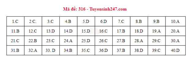 [CẬP NHẬT] Gợi ý đáp án các mã đề thi môn Lịch sử trong kỳ thi THPT Quốc gia 2018 - Ảnh 7.