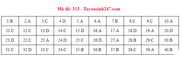 [CẬP NHẬT] Gợi ý đáp án các mã đề thi môn Lịch sử trong kỳ thi THPT Quốc gia 2018 - Ảnh 6.