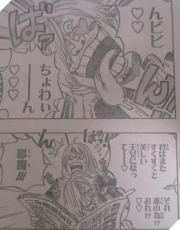 Nami ná»i giáºn vì cô không thá» Äá»c tiếp tá» báo vì Sanji Äã nhanh tay cắt hình trên báo cá»§a mấy nà ng công chúa...