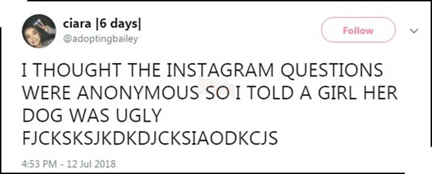 Cư dân mạng dính bẫy Instagram trong trò hỏi đáp mới, nghịch dại đến nỗi phải block cho đỡ quê - Ảnh 5.