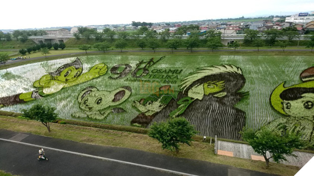 [Vui] Chỉ có tại Nhật Bản, người ta mới có thể vẽ tranh ngay trên ruộng lúa! - Ảnh 1.