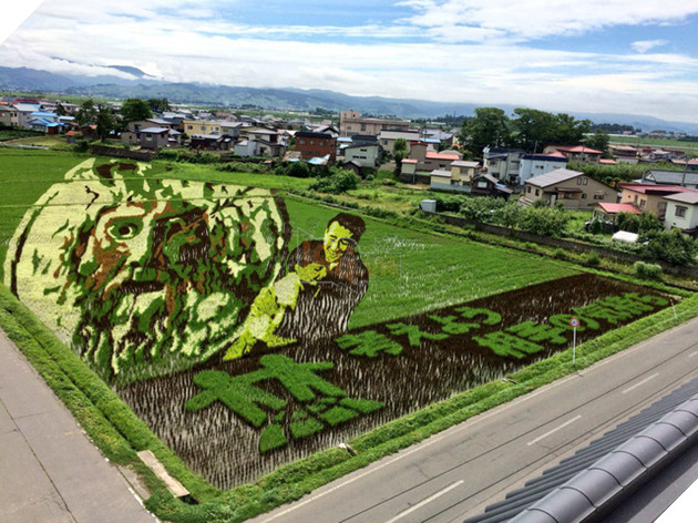 [Vui] Chỉ có tại Nhật Bản, người ta mới có thể vẽ tranh ngay trên ruộng lúa! - Ảnh 2.