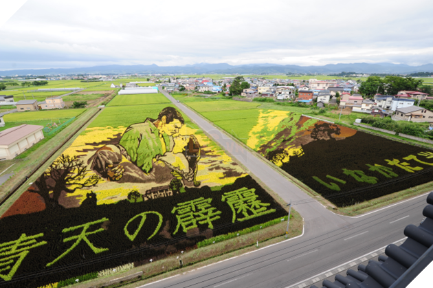 [Vui] Chỉ có tại Nhật Bản, người ta mới có thể vẽ tranh ngay trên ruộng lúa! - Ảnh 3.