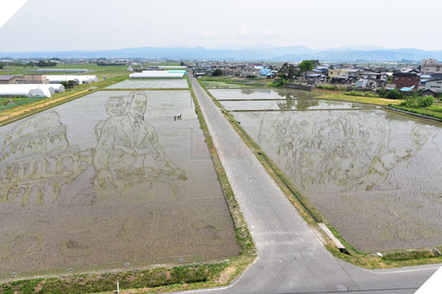 [Vui] Chỉ có tại Nhật Bản, người ta mới có thể vẽ tranh ngay trên ruộng lúa! - Ảnh 5.