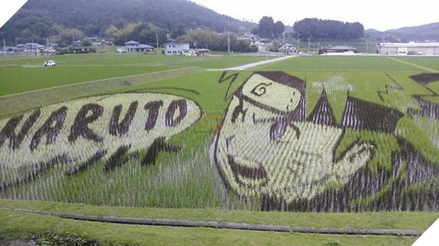 [Vui] Chỉ có tại Nhật Bản, người ta mới có thể vẽ tranh ngay trên ruộng lúa! - Ảnh 4.
