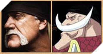 Điểm danh những nhân vật trong One Piece được lấy cảm hứng từ người nổi tiếng có thật ngoài đời - Ảnh 15.