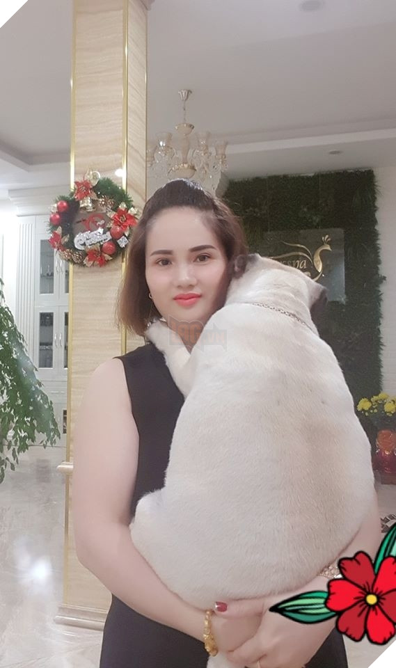 Ròng rã nuôi boss hơn 2 năm trời, sen đắng lòng khi phát hiện mình đang nuôi nhầm con... heo  8