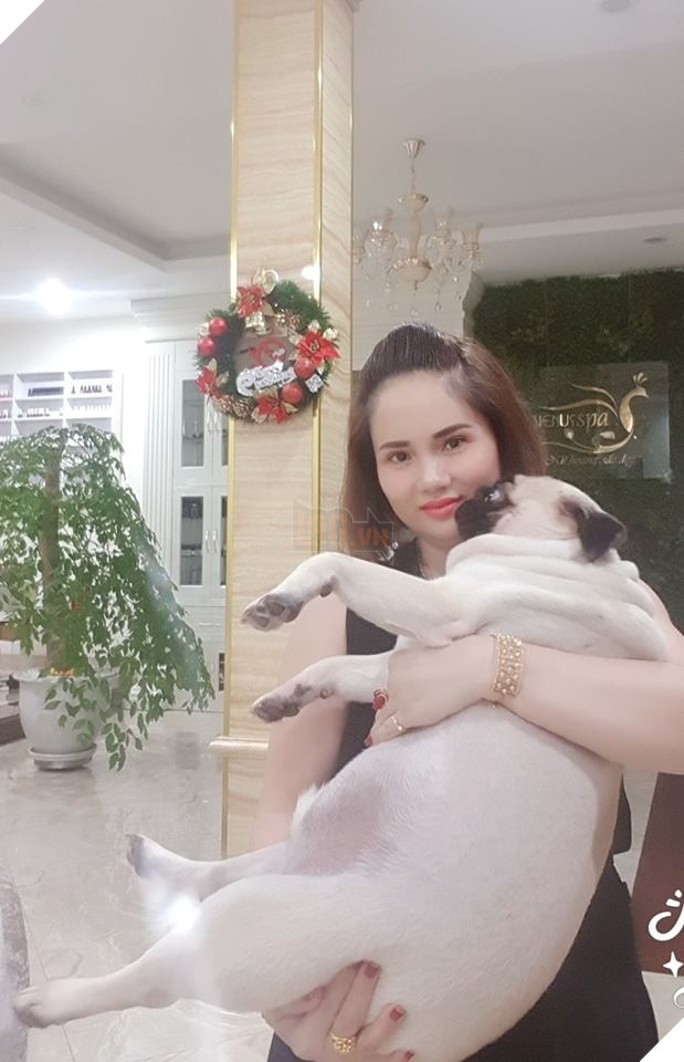 Ròng rã nuôi boss hơn 2 năm trời, sen đắng lòng khi phát hiện mình đang nuôi nhầm con... heo  9