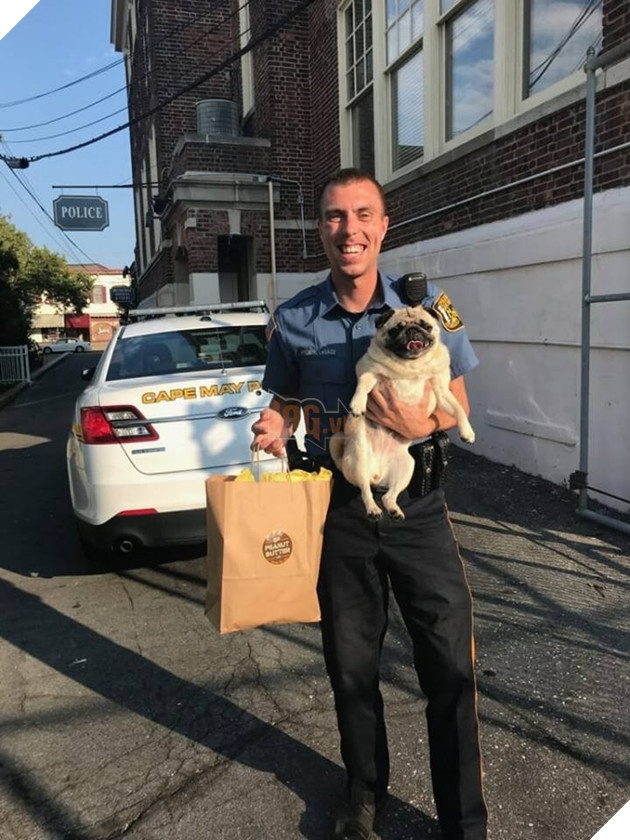 Chú boss ‘mặt phệ’ bỏ nhà đi lang thang và bị bắt vào đồn cảnh sát chỉ vì… quá đáng yêu 4