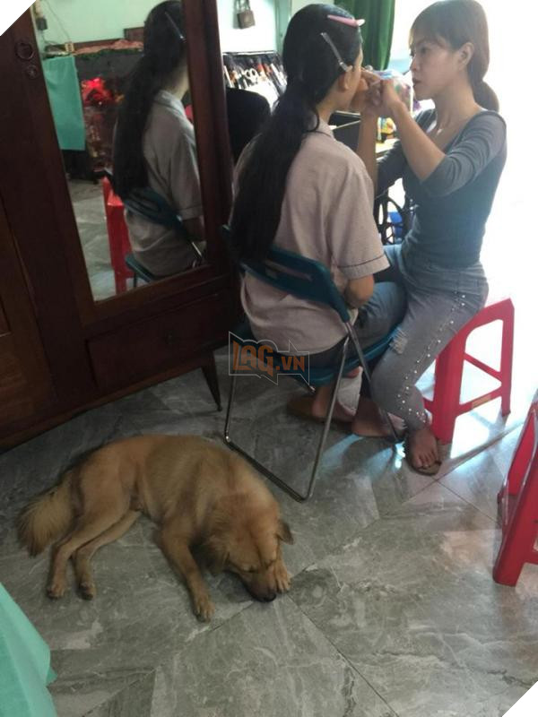 37888351 1495440063935300 704411405759021056 n