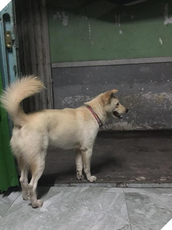 37918356 1495440243935282 1480141907404259328 n