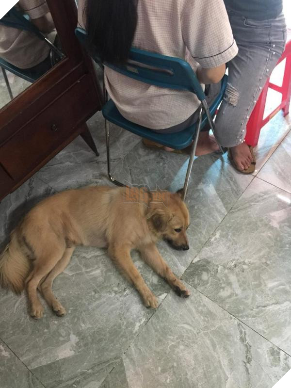 37927551 1495440070601966 8760553649597317120 n