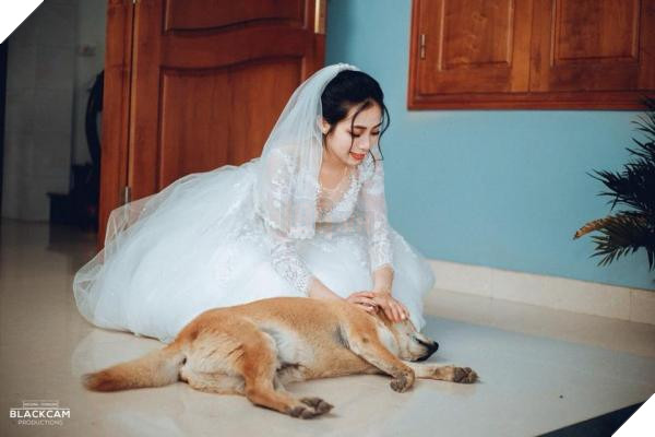 37987907 965591756980922 2503805688338186240 n