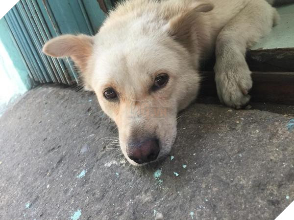 38002651 1495440020601971 3230628104598716416 n