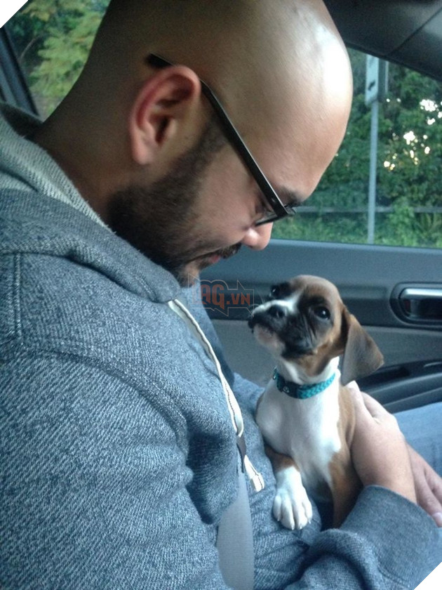 Trái tim rung rinh với niềm hạnh phúc khi được nhận nuôi của những chú chó 5