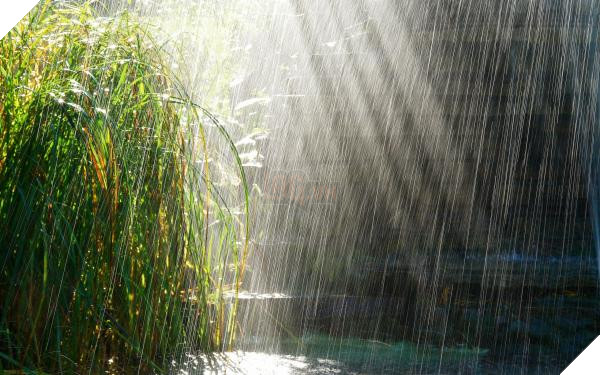 rainy-day-hd-images rainy day hd images