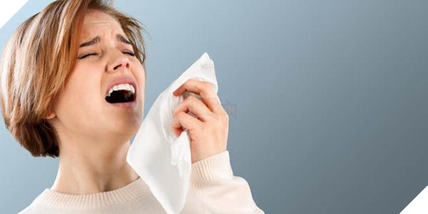 sneeze sneeze